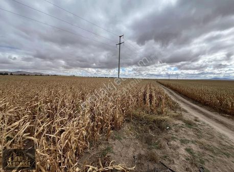 Türkmentokat Da Ana Yol Yakını Satılık Tarla
