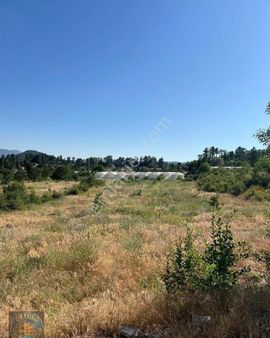 Öztülü Emlak'dan: Elmayurtta Satılık Kupon Yer