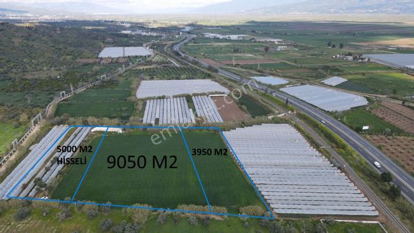 Köşk Yavuzköy Tarım Ticari Alanı İçin Uygun 18 Dönüm Bahçe