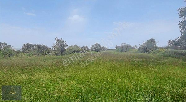 Malkara Yaylagöne Köyünde Verimli Satılık Tarla!