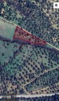 Hisarköy De Muhteşem Zeytinlik