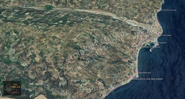 Şarköy Hoşköy Yatırımlık Büyük Fırsat 1577 M2 Satılık Zeytinlik