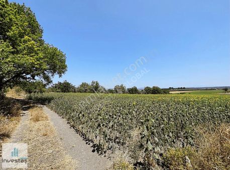 İnvestaş Global İrfaniye'de Yatırımlık Kıymetli Arazi