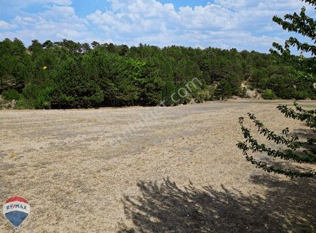 Mudurnu'da Resmi Yola 70 Metre Cephe Havadar Konum Yatırımlık