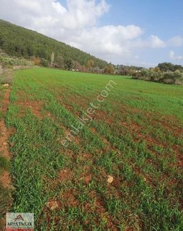 Yatağan Bencik Mahallesinde Satılık Tarla