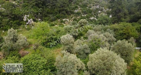 Marmaris Söğüt Köyünde Merkezde Satılık Arazi