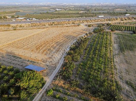 Manisa Karaoğlanlı Mah. Satılık 5000m² Arsa