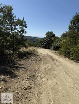 İznik Derbentte Kısmi Göl Manzaralı 1.568 M² Tarla Cazip Fiyat!