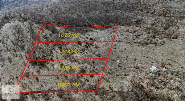 İznik Sarıağıl Köyünde Kelepir Tarla