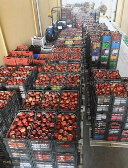 Tefenni'de 13 Dönüm Arazi İçinde Soğuk Hava Deposu