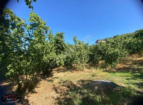 Aker Emlaktan Akyazı Bıçkıderede Mükemmel Arsa