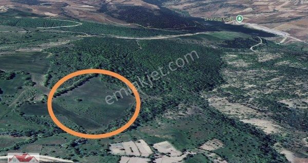 Samsun Kavak Göçebe De 7.037 M2 Tarl- Yakınına Kadar Yol Var