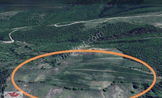 Samsun Kavak Göçebe De 11.975 M2 Boş Tarla.