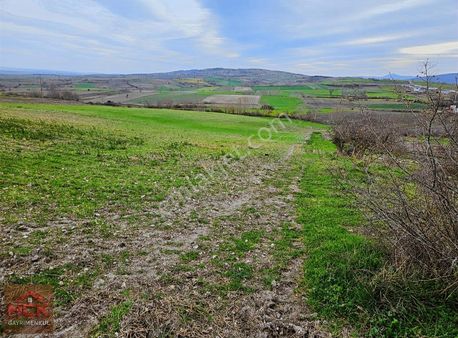 Hçk Gayrimenkul' Den Manyas Şevketiye' De Satılık Tarla