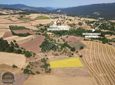 Çamlıoğlu Gayrimenkul'den - Tokmaklar Köyünde - 1.479 M² Tarla