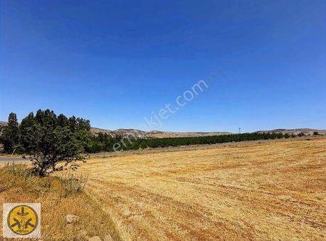 Kılan Yaylasında Anayol Kenarı Tarla