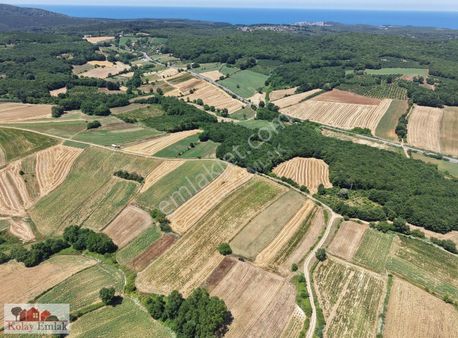 Kocaeli Kerpe De Yatırımlık Satılık 816m2 Tarla