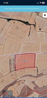 Höbek Tek Tapu Acil Satılık Tarla