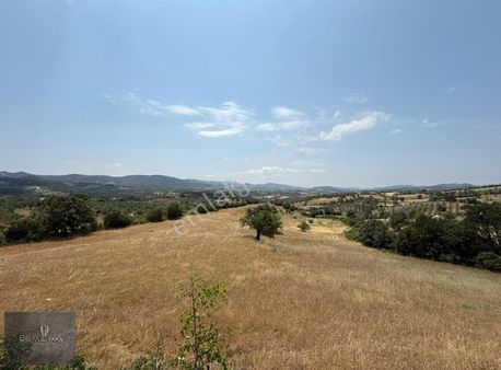 Beyazyaka'dan Bergama Ürkütler Mah. Satılık Tarla