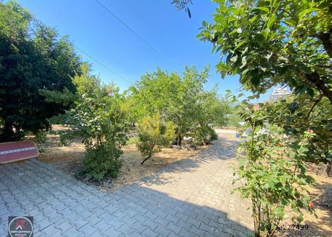 Yalova Altınova Tokmak’ta 1.078 M² Arsalı Deniz Ve Köprü Manzaralı Satılık Müstakil Ev