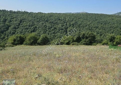 Atakum İncesu Mah Acil Satılık 1095 Mk