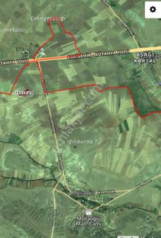 Eskişehir Mollaoğlu Mahallesi’nde Hissesi Satılık Tarla