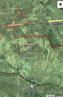 Eskişehir Mollaoğlu Mahallesi’nde Hissesi Satılık Tarla