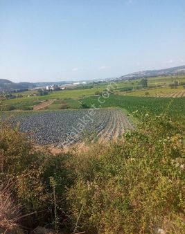 Sabuncuoğlu Gayrımenkul Enbafra İlce Merkezıne 10 Dakika Mesafe,primlik Arazi