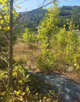 Sabuncuoğlu Gayrimenkul Den Sinop Dikmen De Yatırımlık Arazi Acil Dikmen Kırcal Da Prim Lik İdeal
