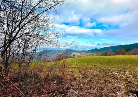 Sabuncuoğlu Gayrımenkul Den.sınop,gerze Acısu Da,full Deniz Manzarali,tatil Köyü İçın Fırsat.arazi.