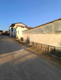 Pelitli Köyünde Satılık Çiftlik