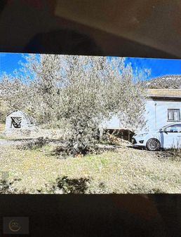 Karaman Merkezde Cerit Köyünde 17.300 M² Satılık Zeytin Tarlası