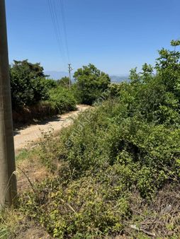 Karacasu –küçükdağlı’ Da Kargir Ev Vasıflı Bahçe