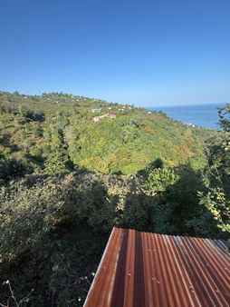 Bulancak Burunucunda Deniz Manzaralı 4.5 Dönüm Fındık Bahçesi