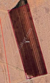 Sezenler Emlaktan Çumra Alibeyhüyüğü Mahallesi'nde Satılıl Tarla