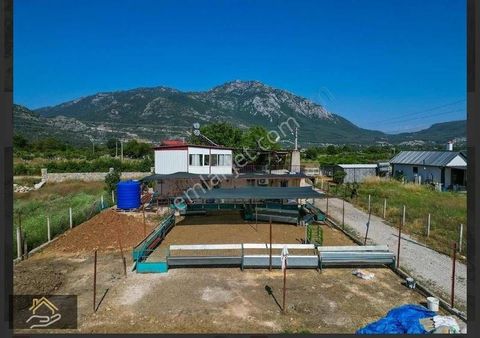Karlık Gayrimenkulden İncir Köyde Satılık 3891 M2 Tarla