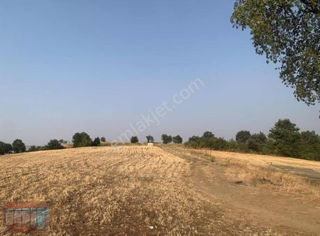 Aktaş'tan Yenişehir Karaamcada Satılık Tarla Yol Su Mevcut