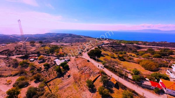 İzmir Seferihisar Doğanbey De Satılık 1220 M2 İmarlı Arsa