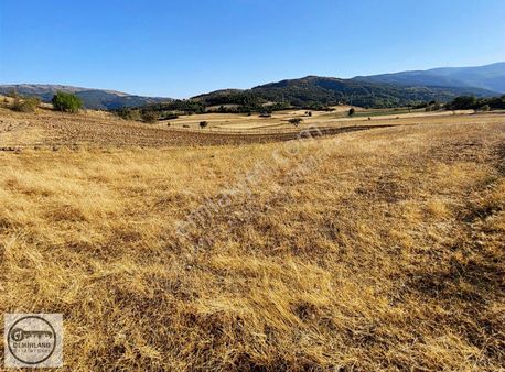 Demirland'dan Satılık Kütahya Merkez Aydoğdu'da Kelepir Tarla