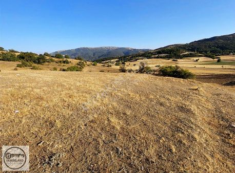 Demirland'dan Kütahya Merkez Aydoğdu'da Satılık Kelepir Tarla