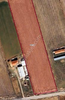 Sezenler Emlaktan Çumra İçeriçumra Mahallesi'nde Seçmeyolu Cepeli Satılık Tarla