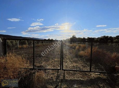 Öz Çoban Gayrımenkul'den Süper Bahçe
