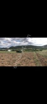 Isparta Merkez Büyükgökçeli'de Satılık 2.326 M2 Tarla