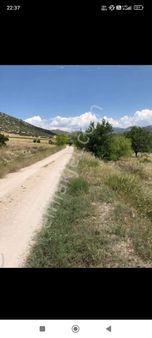 Isparta Merkez Büyükgökçeli'nde Satılık Şeftali Bahçesi