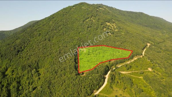Turyaptan Kartepe Pazarçayırı Yaylasında Ormana Komşu Yatırımlık