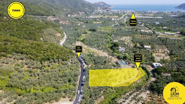 Balıkesir Erdek Turan Mahallesinde 2840 M² Satılık Zeytinlik