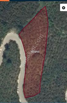 Safir Emlak'tan Ulubey Çukurconkara'da Fındık Bahçesi