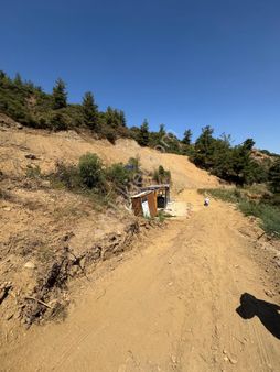 Turgutlu Nurcan Emlak’dan Çatalköprü Yoluna Yakın Satılık 1,200 M² Hobi Bahçesi