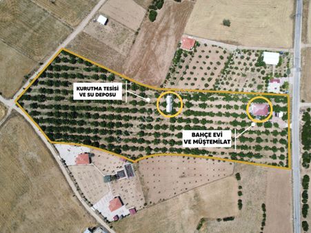 Yeşilyayla'da Satılık 19.759m² Ceviz (chandler) Bahçesi Ve Evi