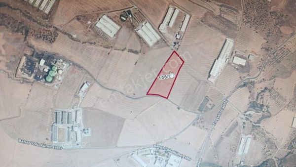 Turgutlu Nurcan Emlak’dan Halilbeyli Mh.de Satılık 17.815 M² Tek Tapu Çiftlik Arazisi